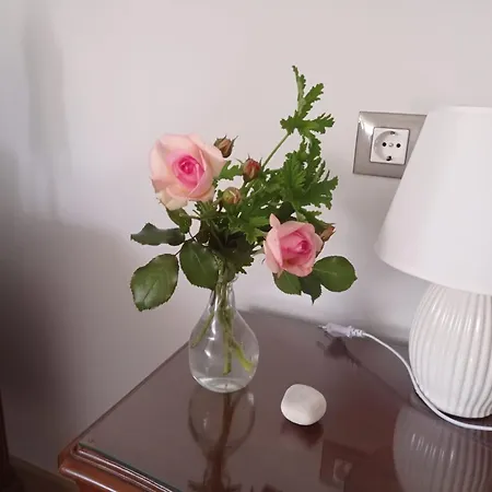 Ponteceso, Mar Y Fer *