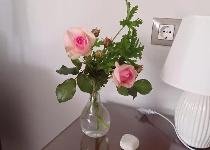 Ponteceso, Mar Y Fer *